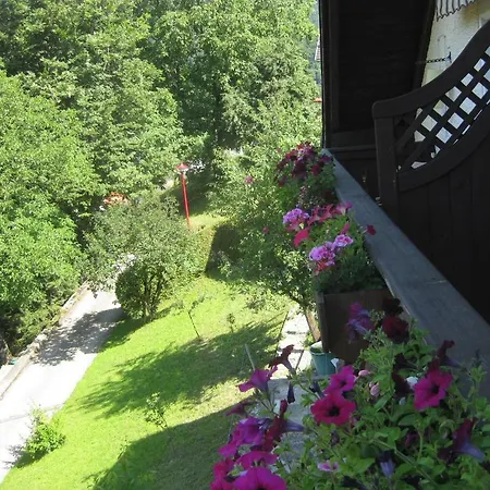 Guest house Haus Anastasia